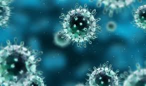 Paragon Bioservices gains contract for HIV vaccine candidate Courtesy of biothreatsmitre.org