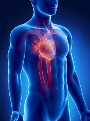 Individuals who had not received their influenza vaccines had an 18 percent higher chance of developing atrial fibrillation. File photo